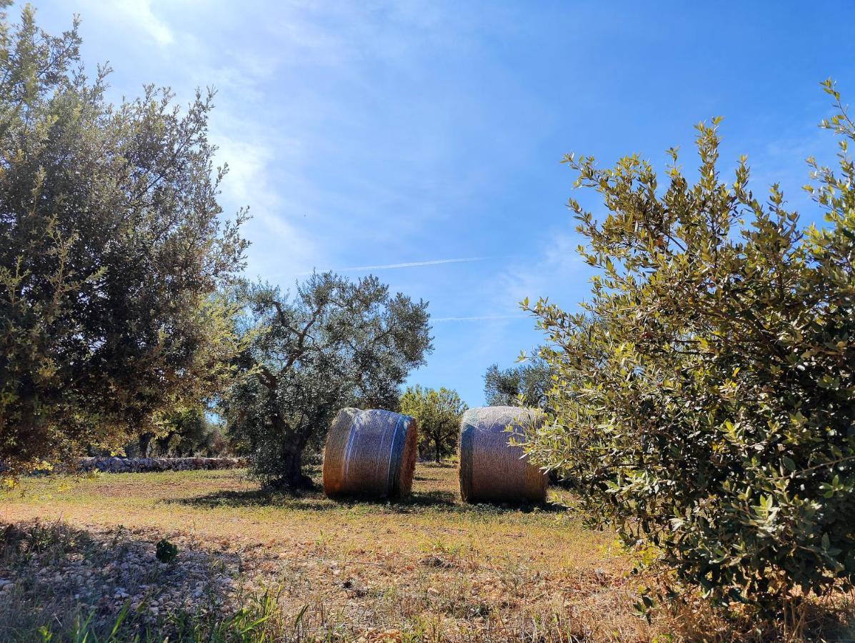 Come Una Volta - Il Trullo Alberobello Eksteriør bilde